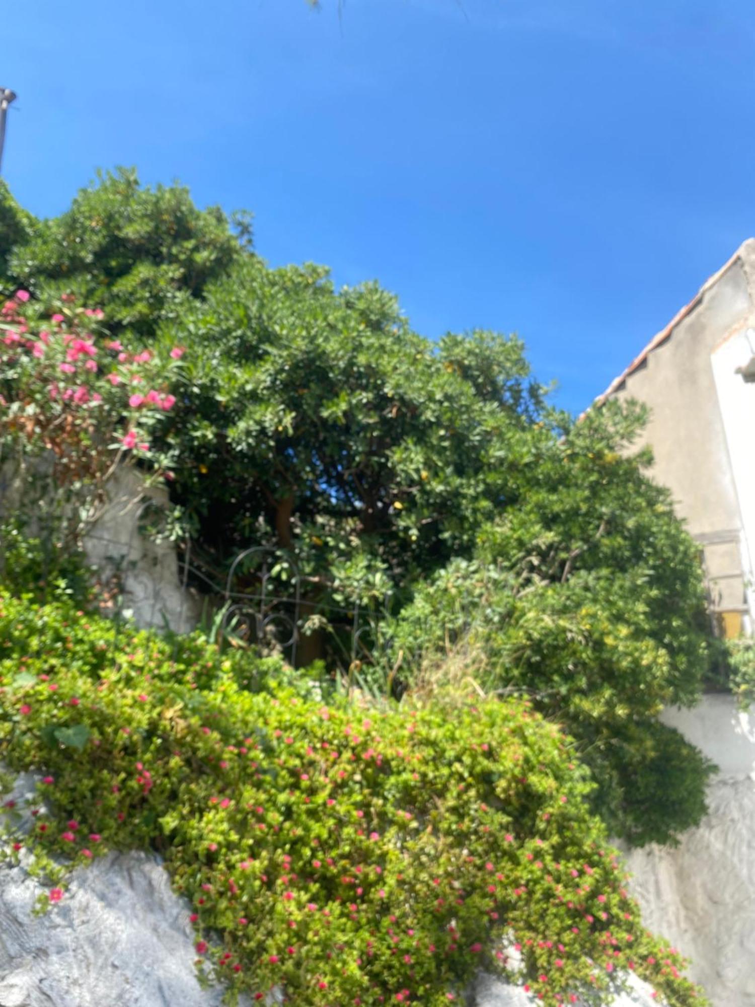 Au Coeur Du Parc National Du Massif Des Calanques, La Flibuste Des Goudes, Maison 2 Chambres, Climatisee, Jardins, Solarium, Proche Plage, Large Vue Mer Марсель Екстер'єр фото